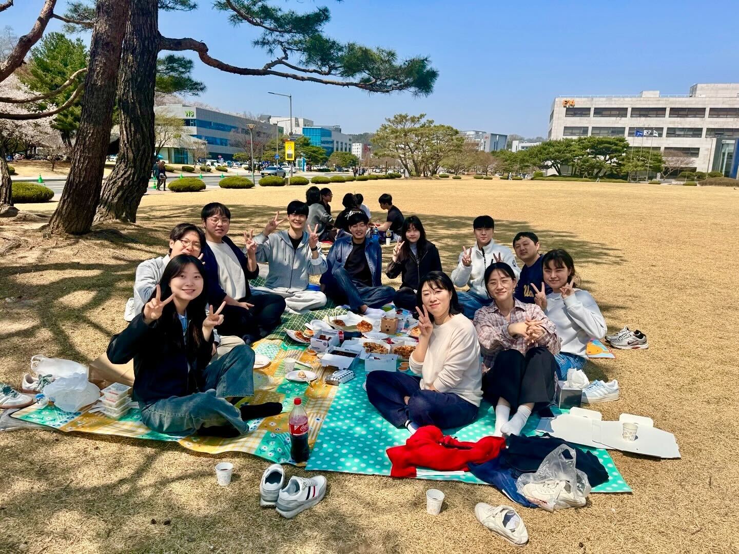 kaist2.png